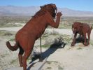 PICTURES/Borrego Springs Sculptures - Bugs, Cats & Birds/t_IMG_8865.JPG